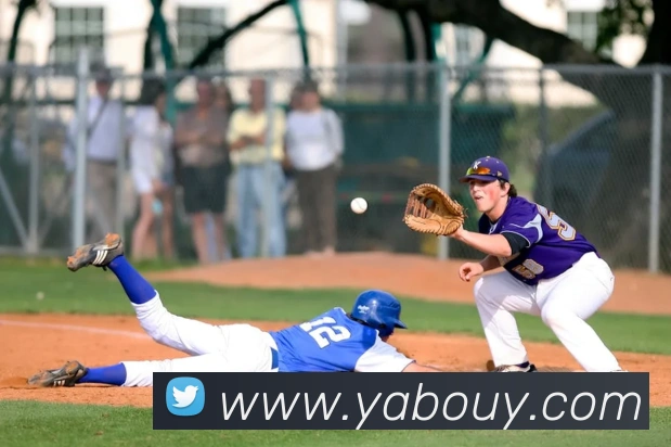 亚博体育平台生态图